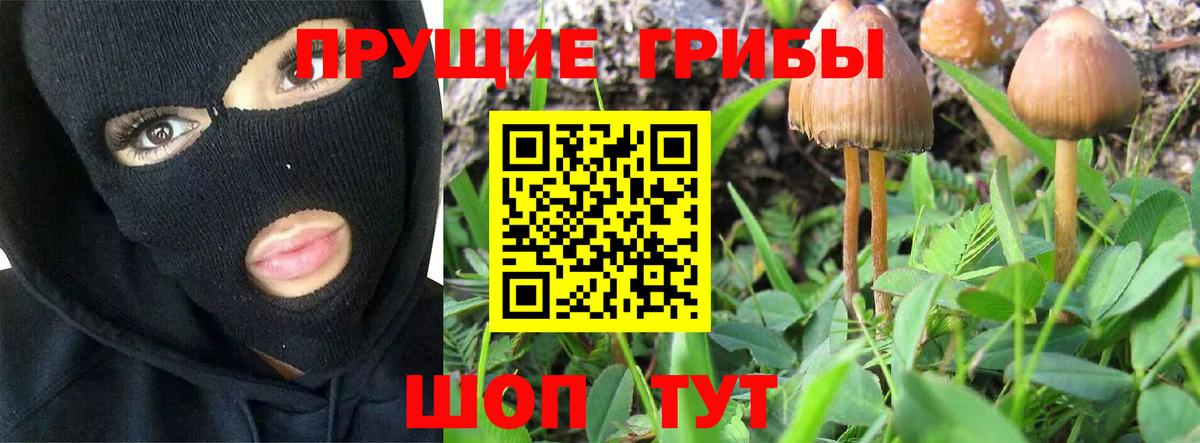 Галлюциногенные грибы Cubensis  Вход с VPN  Галлюциногенные грибы Magic Shrooms  Грязи 