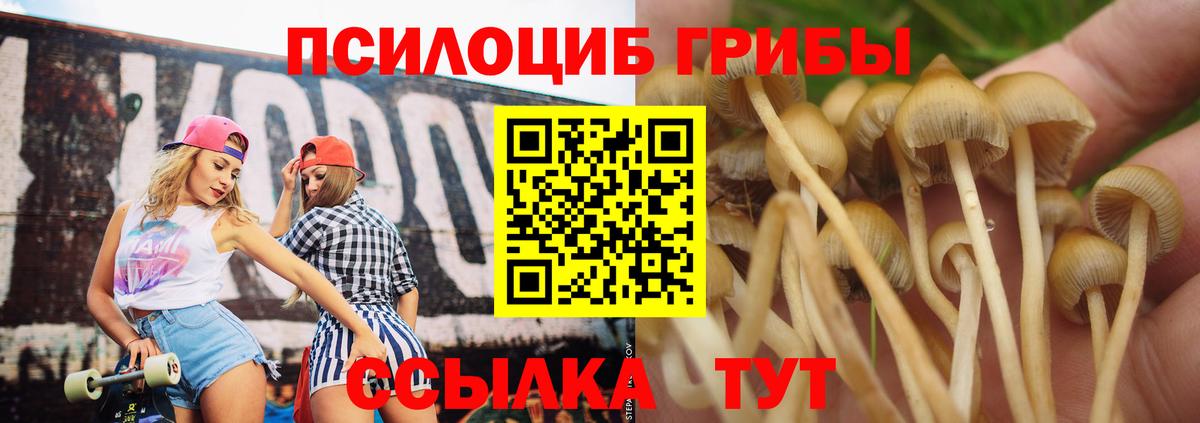Псилоцибиновые грибы Psilocybine cubensis Грязи